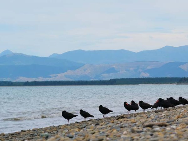 Presentation on Community Boat Ramp for Māpua Residents this&nbsp;October